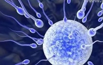 2026太原试管婴儿领先品牌机构大盘点，揭秘十大热门选择！