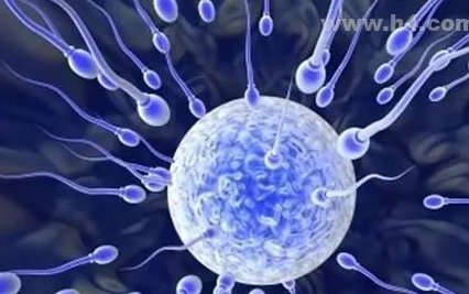 2026国内第三代试管婴儿私立医院排名一览