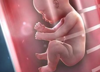 (苏州哪个试管专家成功率高)苏州市立医院试管医生推荐