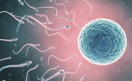 2026安徽阜阳正规靠谱助孕公司名单大全，选对机构不踩坑