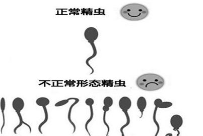 2026山西太原助孕机构新一期排行榜，内含公立和私立机构参考