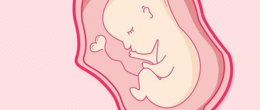 2026宁波私立医院三代试管成功率大揭秘，一文带你掌握最新成功率数据