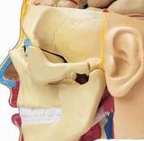 2026宿州试管助孕专科医院排名更新，附宿州热门助孕机构推荐