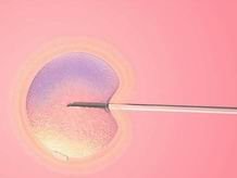 2026年上海试管婴儿费用及成功率解析