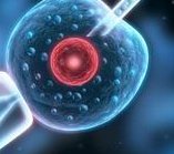 2026上海九院试管婴儿成功率与费用都在这里，快来瞧一瞧