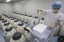 2026年上海试管婴儿助孕机构大盘点，哪家机构值得信赖？