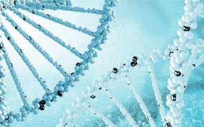 2026大理最大型的助孕公司名单实时发布，大理排名前十机构名单含费用