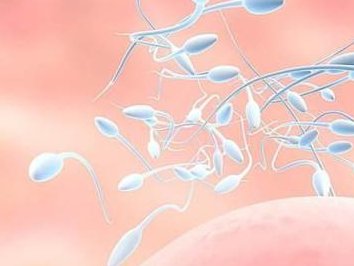 2026口碑榜出炉：安徽省阜阳市助孕公司比较好的是这三家！