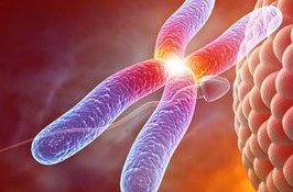 2026南通市妇幼保健院试管助孕成功率解读，附试管助孕费用清单